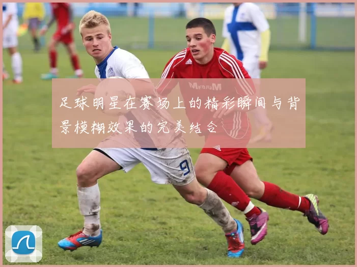 足球明星在赛场上的精彩瞬间与背景模糊效果的完美结合