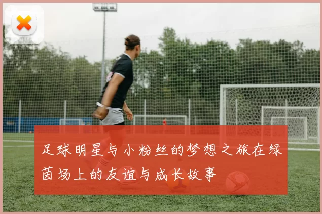 足球明星与小粉丝的梦想之旅在绿茵场上的友谊与成长故事