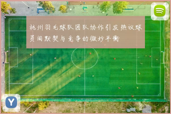 杭州羽毛球队团队协作引发热议球员间默契与竞争的微妙平衡