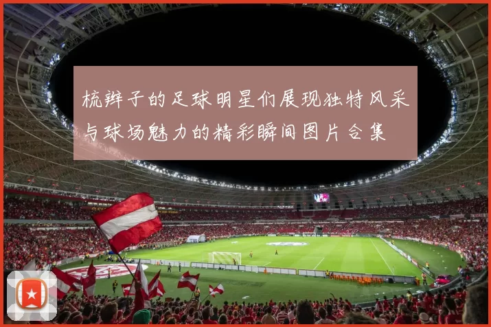 梳辫子的足球明星们展现独特风采与球场魅力的精彩瞬间图片合集