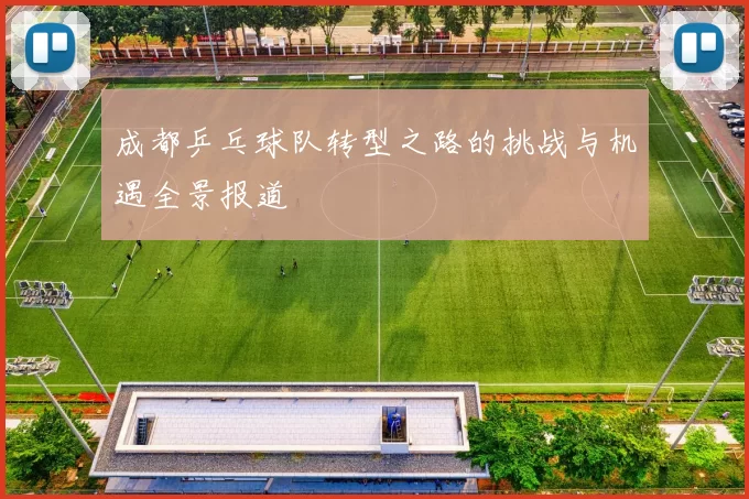 成都乒乓球队转型之路的挑战与机遇全景报道