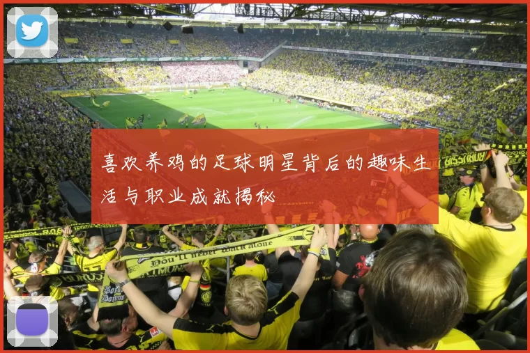 喜欢养鸡的足球明星背后的趣味生活与职业成就揭秘