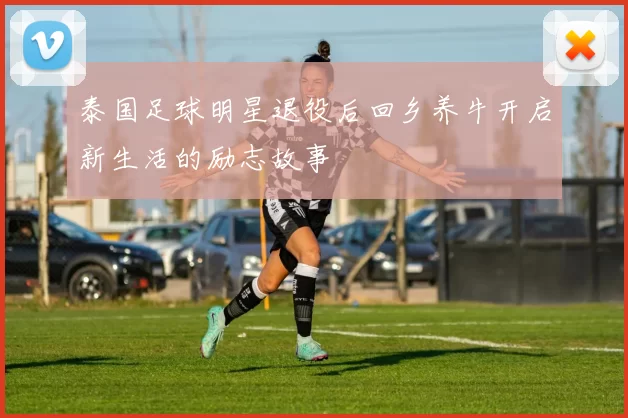 泰国足球明星退役后回乡养牛开启新生活的励志故事
