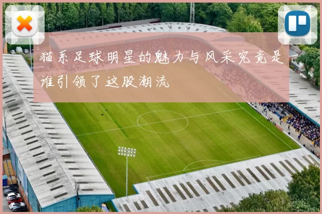 猫系足球明星的魅力与风采究竟是谁引领了这股潮流