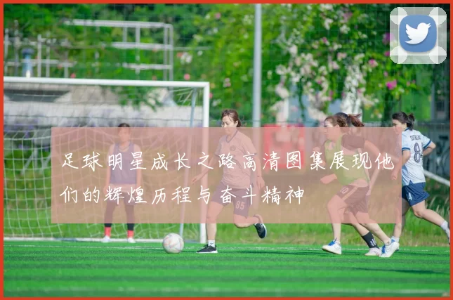 足球明星成长之路高清图集展现他们的辉煌历程与奋斗精神
