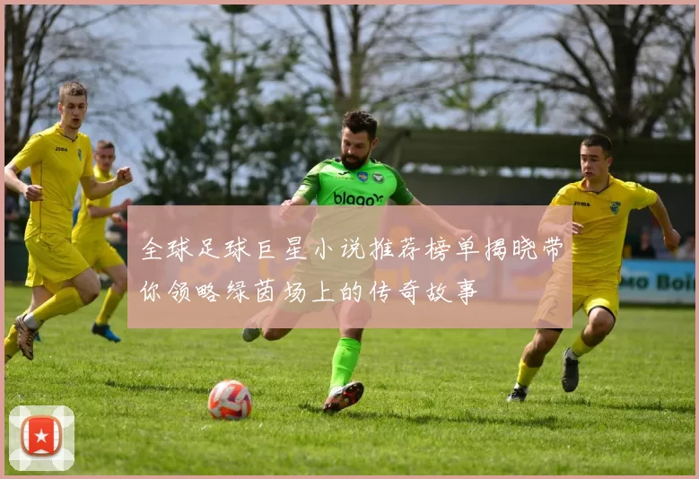 全球足球巨星小说推荐榜单揭晓带你领略绿茵场上的传奇故事