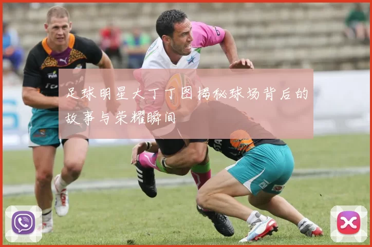 足球明星大丁丁图揭秘球场背后的故事与荣耀瞬间