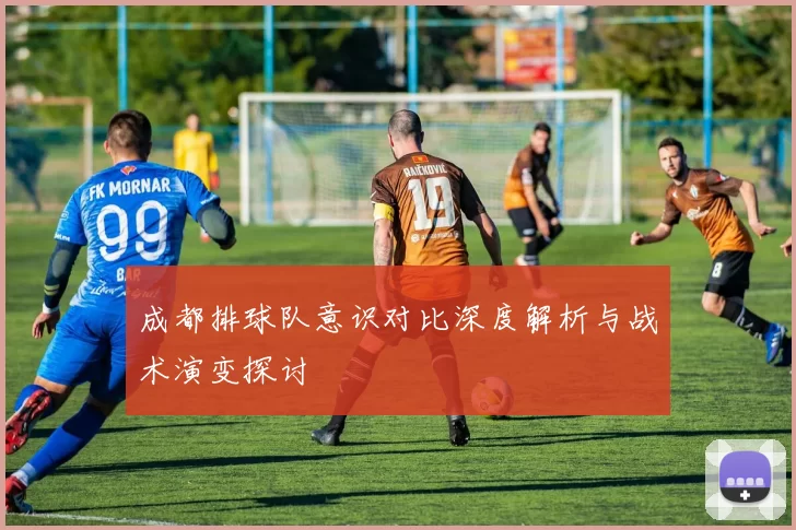 成都排球队意识对比深度解析与战术演变探讨