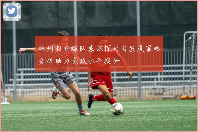 杭州羽毛球队意识探讨与发展策略分析助力竞技水平提升