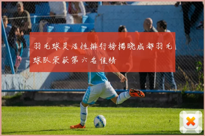 羽毛球灵活性排行榜揭晓成都羽毛球队荣获第六名佳绩