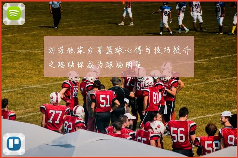 刘芳独家分享篮球心得与技巧提升之路助你成为球场明星