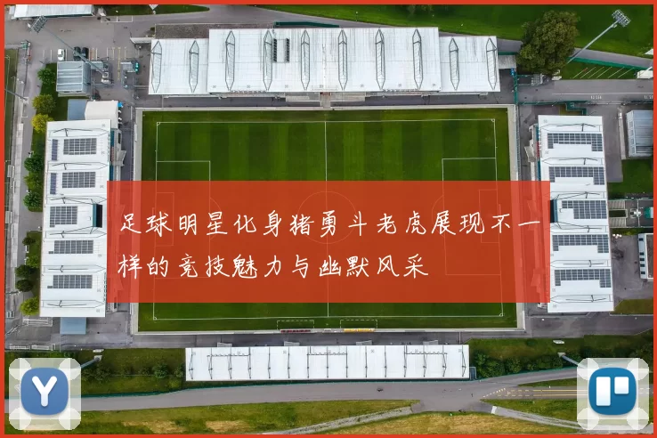 足球明星化身猪勇斗老虎展现不一样的竞技魅力与幽默风采