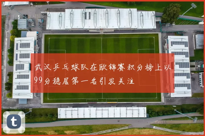 武汉乒乓球队在欧锦赛积分榜上以99分稳居第一名引发关注