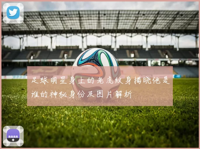 足球明星身上的老虎纹身揭晓他是谁的神秘身份及图片解析