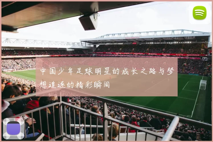 中国少年足球明星的成长之路与梦想追逐的精彩瞬间