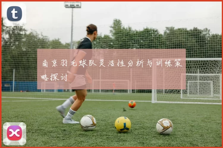南京羽毛球队灵活性分析与训练策略探讨