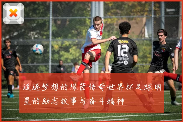 追逐梦想的绿茵传奇世界杯足球明星的励志故事与奋斗精神