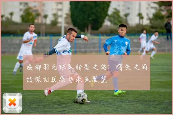 成都羽毛球队转型之路：得失之间的深刻反思与未来展望